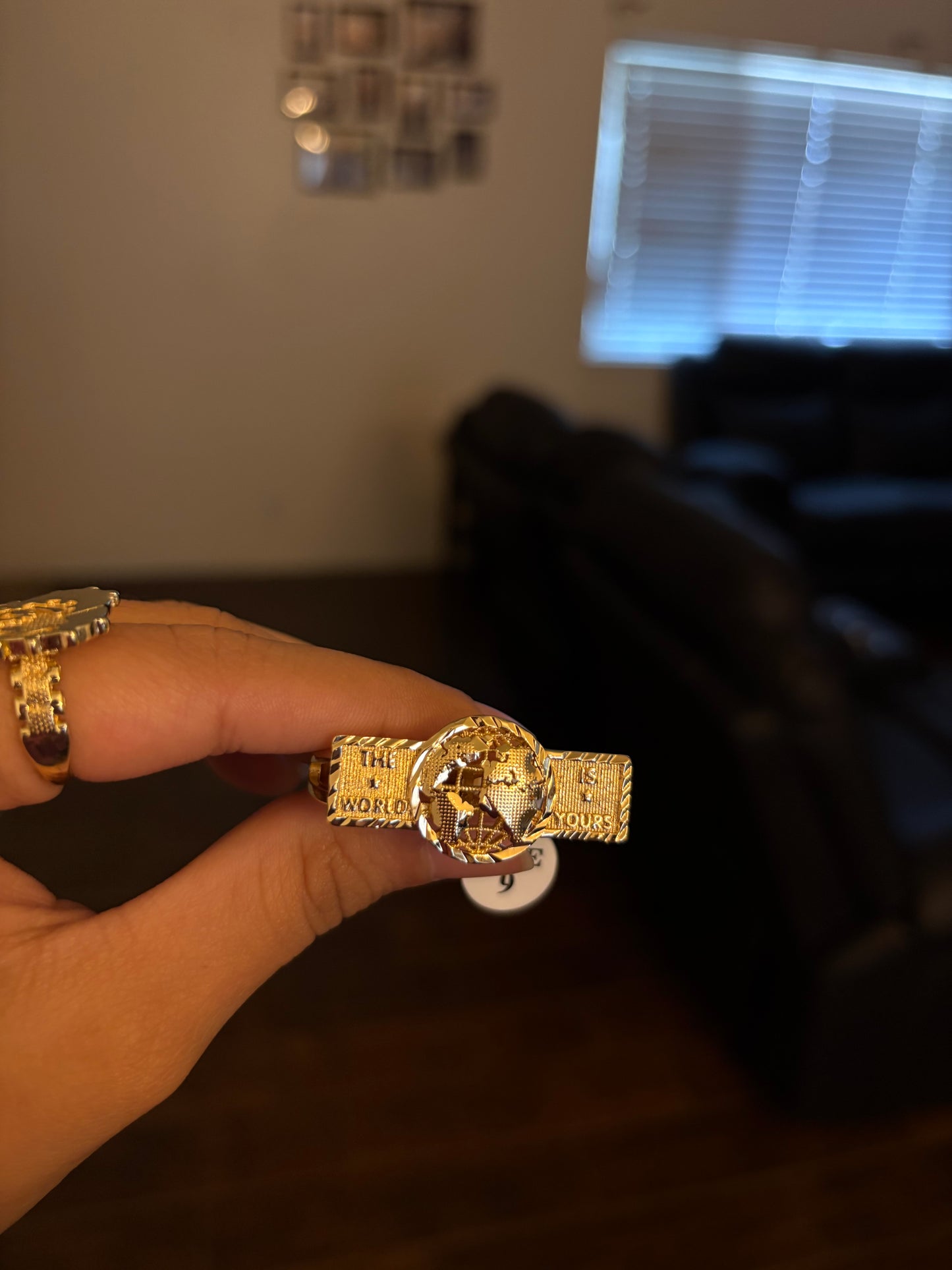 The 🌎 is yours 2 finger ring