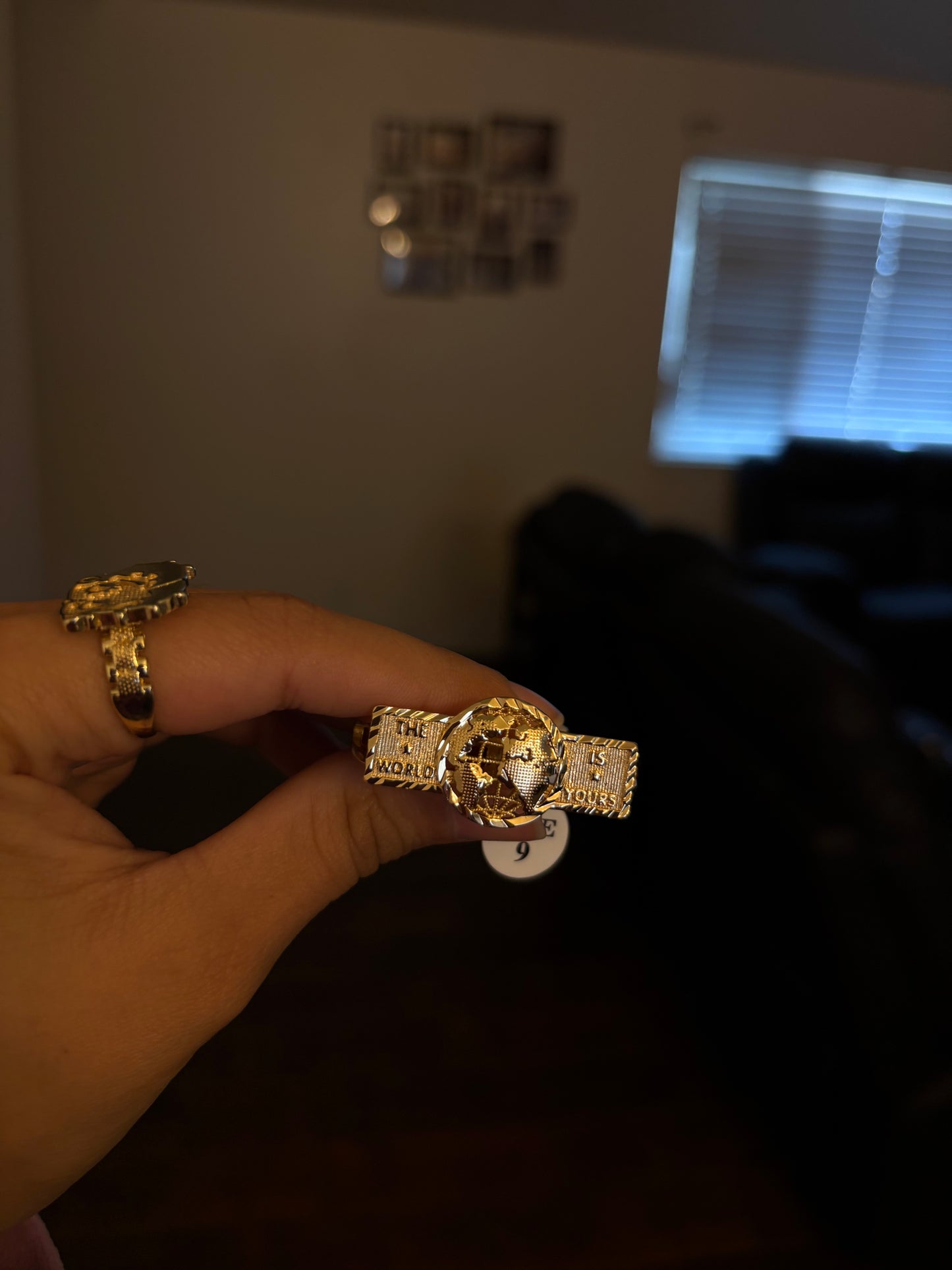 The 🌎 is yours 2 finger ring