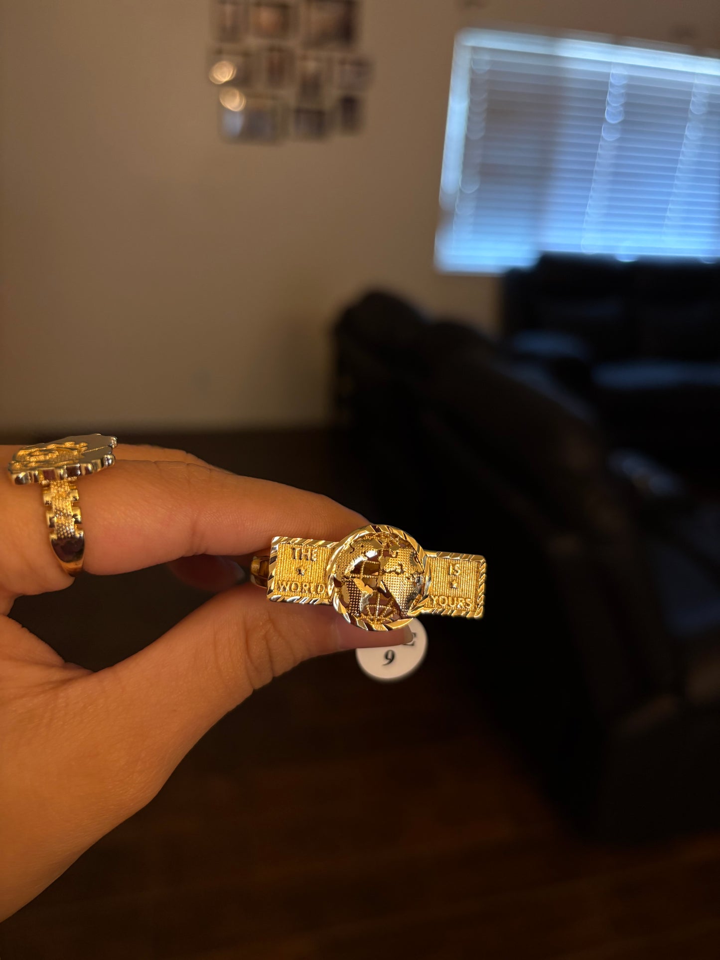 The 🌎 is yours 2 finger ring